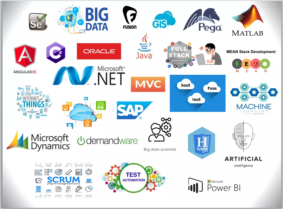 EXPERTISE : Information & Technology